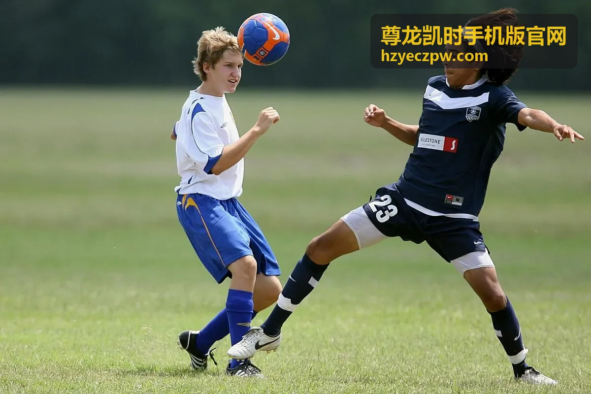 尊龙凯时手机版官网设置项位置演示